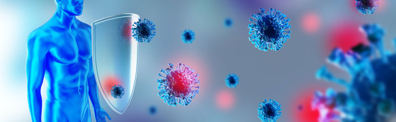 Wellness Immunity