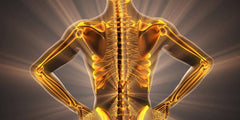 Bone Health